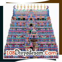Sri Bhuvaraha Swamy Temple, Kattumannarkoil, Srimushnam, Purana Sthalam